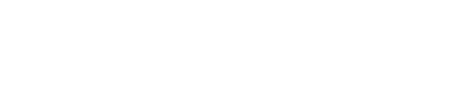 安徽新百胜集团科技股份有限公司